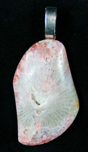 Fossil Red Horn Coral Pendant - Utah #14866